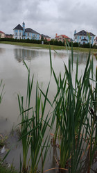 Similar image 21805829