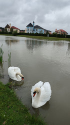 Similar image 21805830