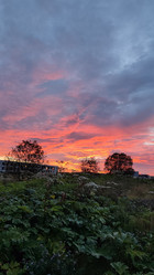 Similar image 21805833