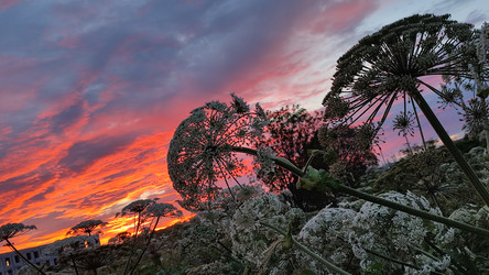 Similar image 21805834