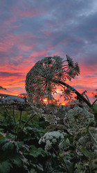 Similar image 21805837