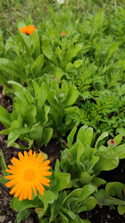 Similar image 21805839