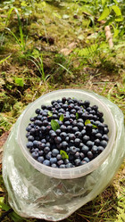 Similar image 21805840