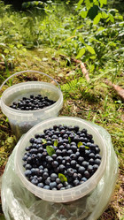 Similar image 21805841