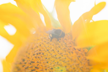 Similar image 21809694