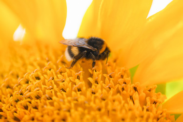 Similar image 21809695