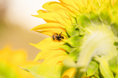 Similar image 21809696