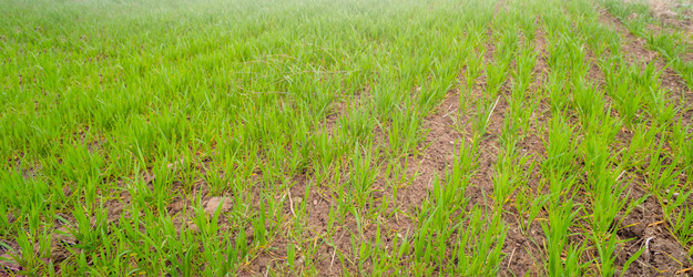 Similar image 21809697