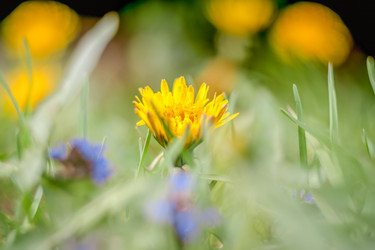 Similar image 21809698