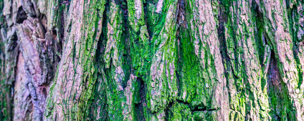 Similar image 21809701