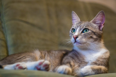 Similar image 21809703