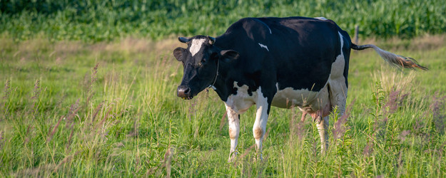 Similar image 21809707