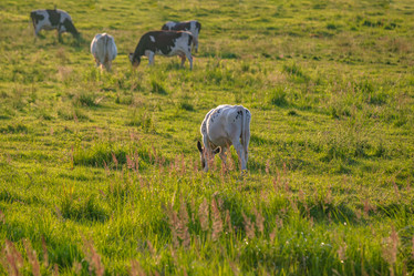 Similar image 21809709