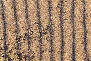 Similar image 21809712