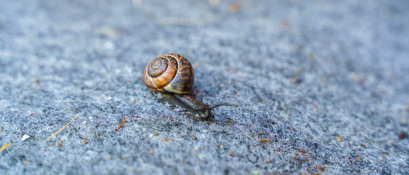 Similar image 21809713