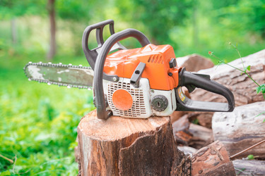 Similar image 21809913