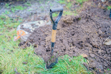 Similar image 21809914