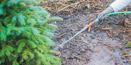 Similar image 21809915