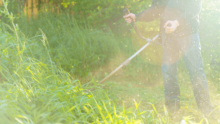 Similar image 21809918