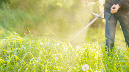 Similar image 21809919