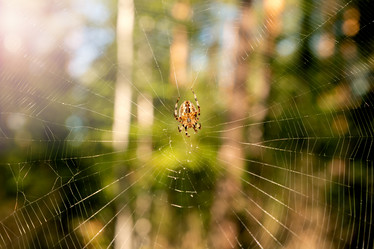 Similar image 21804945