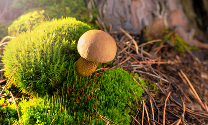 Similar image 21805227