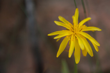 Similar image 21804439