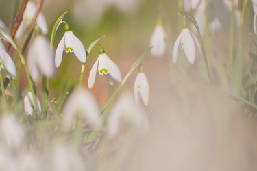 Similar image 21804441