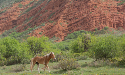 Similar image 21804445