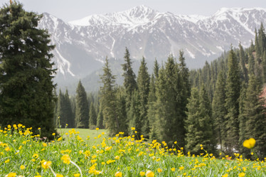 Similar image 21804449