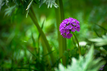 Similar image 21804551