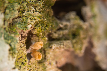 Similar image 21804563