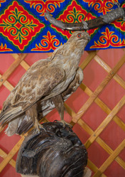 Similar image 21804569