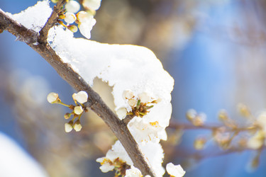 Similar image 21804573