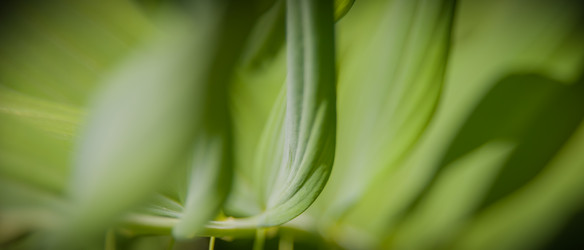 Similar image 21804582