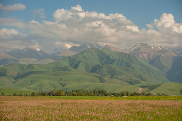 Similar image 21804585