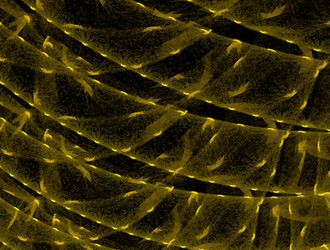 Similar image 21812724