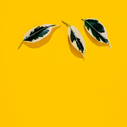 Similar image 21804373