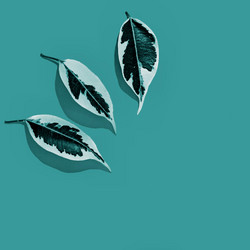 Similar image 21804374