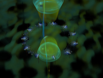 Similar image 21811056