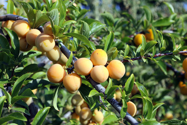 Similar image 21804279