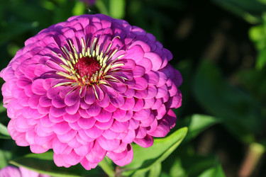 Similar image 21804280