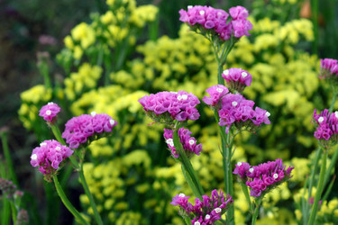 Similar image 21804283