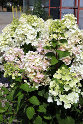 Similar image 21804285