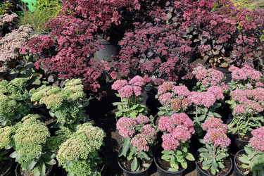 Similar image 21804287