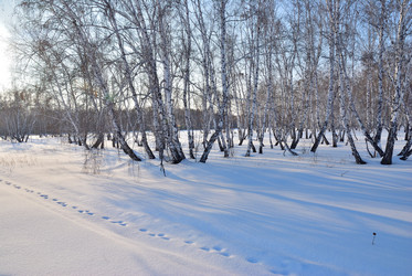 Similar image 21804292