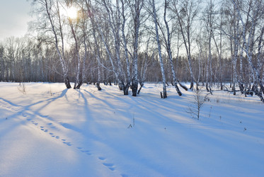 Similar image 21804296