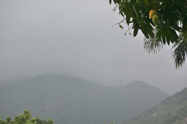 Similar image 21804304