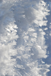 Similar image 21804309