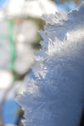 Similar image 21804313